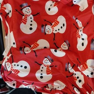 V-neck, long sleeve Christmas theme A-line top. Size 18W